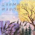 夏天的风追不到秋天的落叶专辑