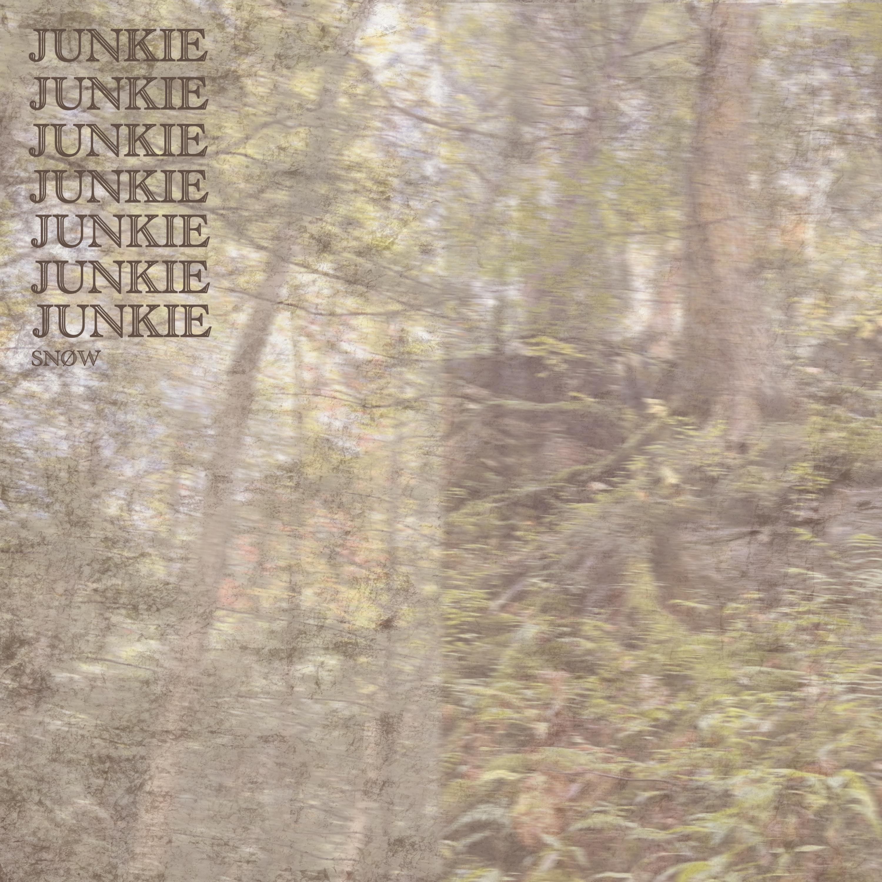 Junkie