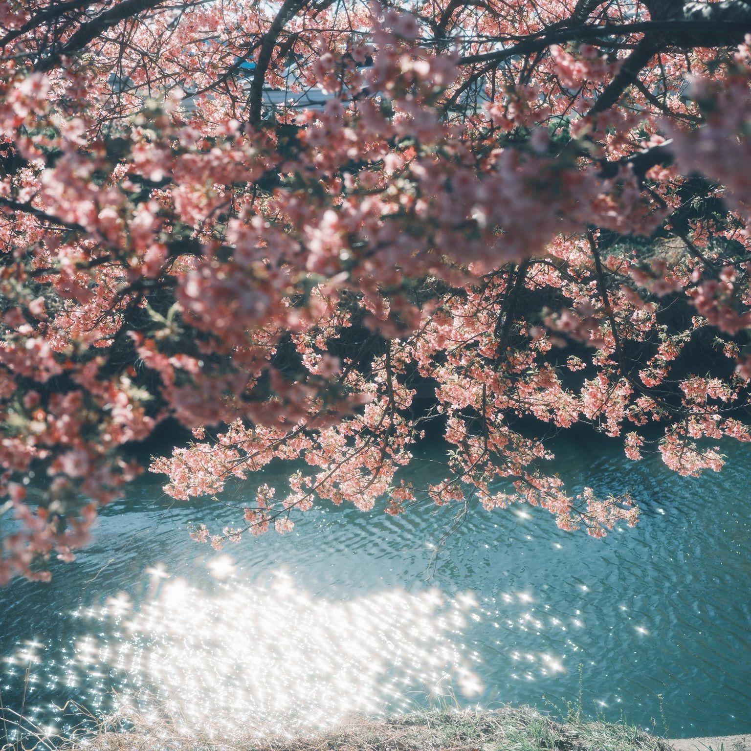 花影之旅 ～ Lapis Memories