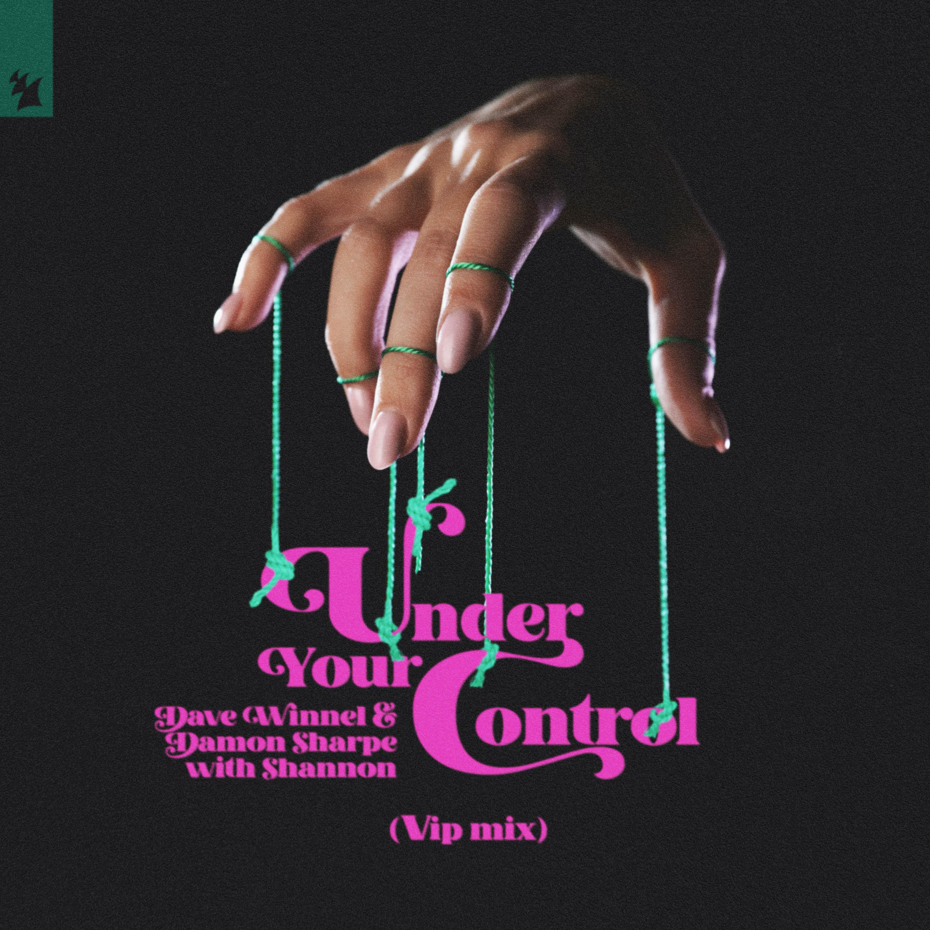 Dave Winnel - Under Your Control (VIP Mix)