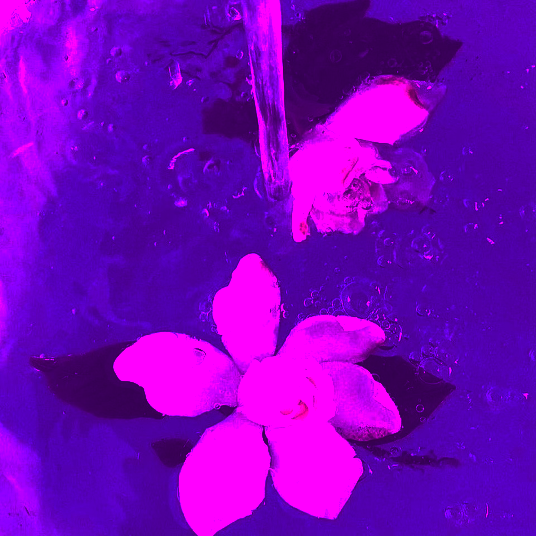支离FRAGMENT