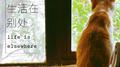 生活在别处专辑