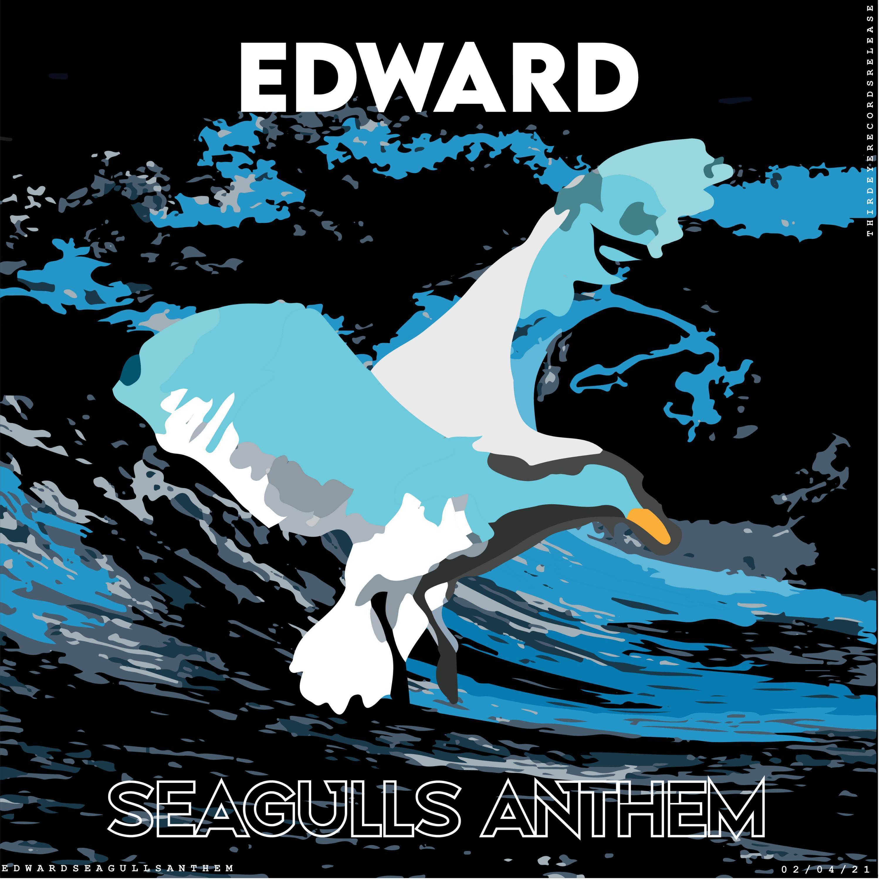 Seagulls Anthem