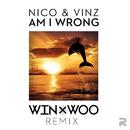 Am I Wrong (Win & Woo Remix)