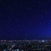 星光下的颗粒
