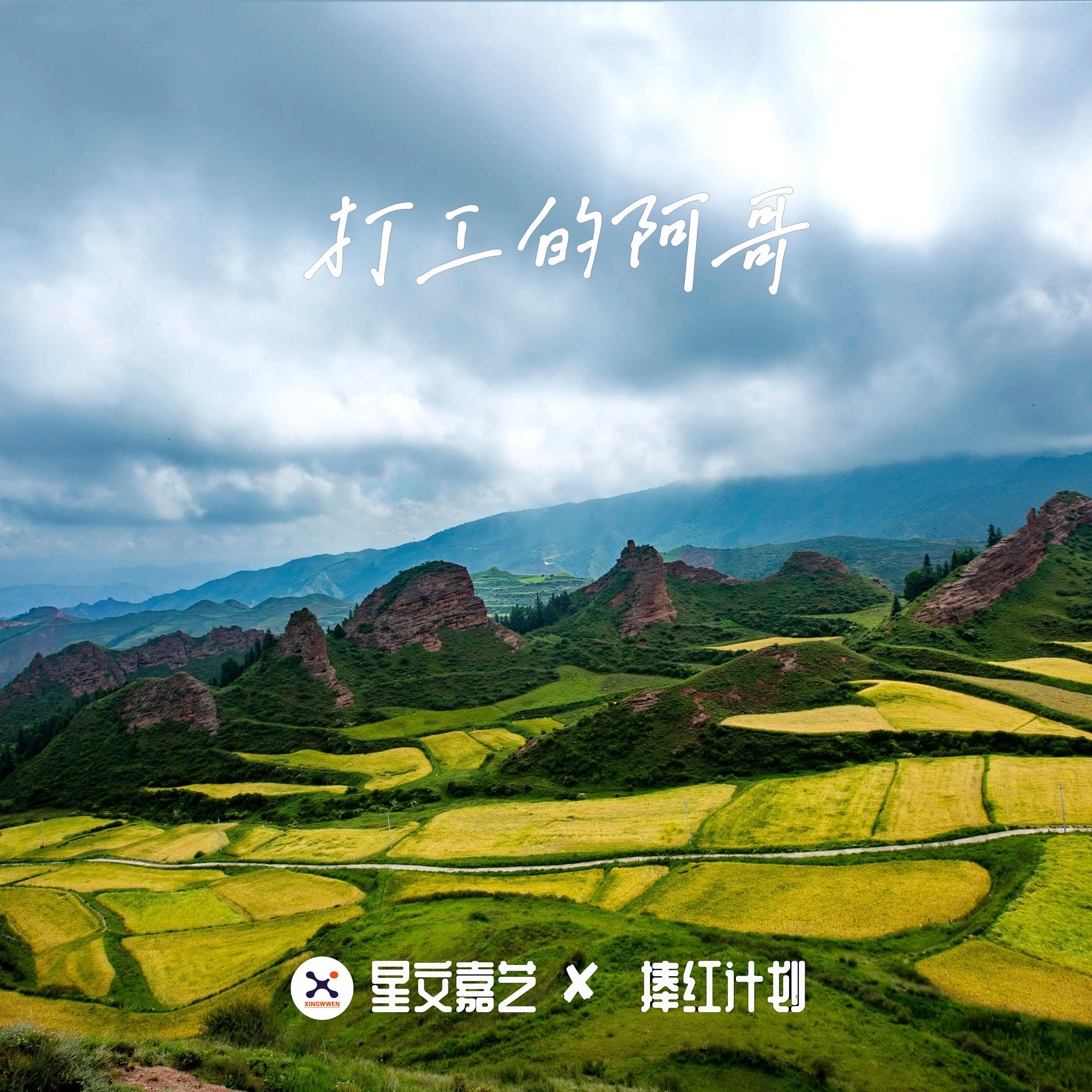 青海花儿歌曲封面