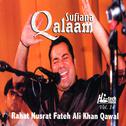 Sufiana Qalaam - Vol. 14专辑