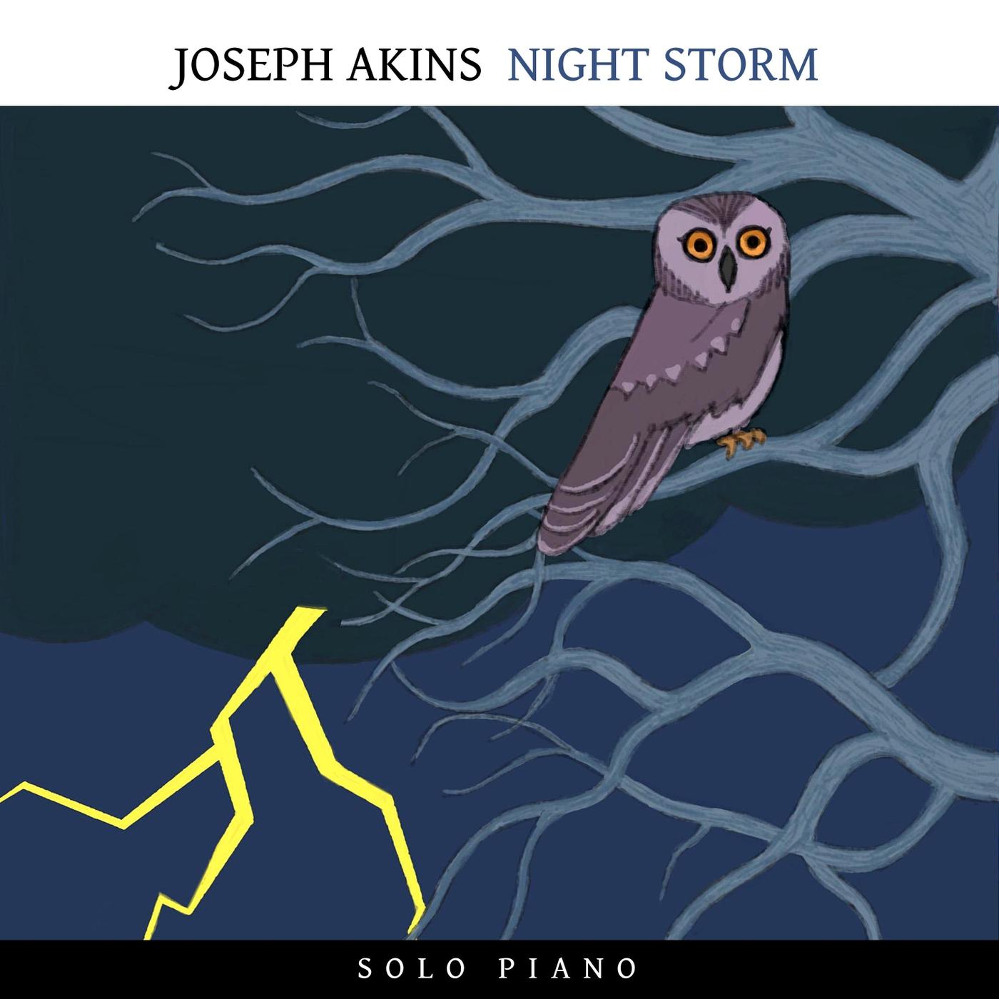 Night Storm