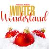 Blue Diamonds - Winter Wonderland