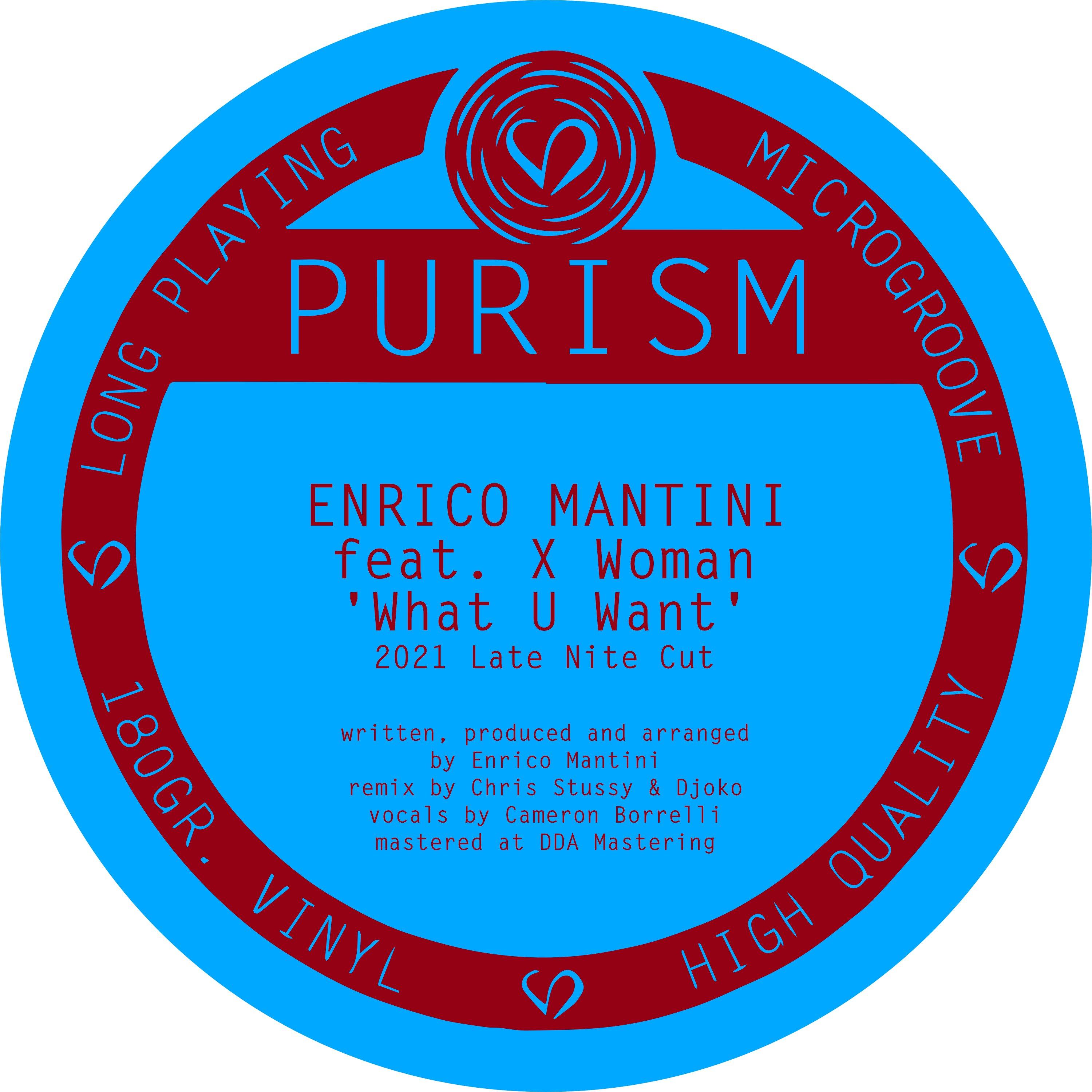 What U Want (Chris Stussy & Djoko a.k.a Kolter Remix)