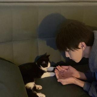 猫咪都比你温柔