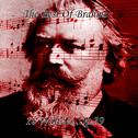 The Best Of Brahms 16 Waltzes, Op 39专辑