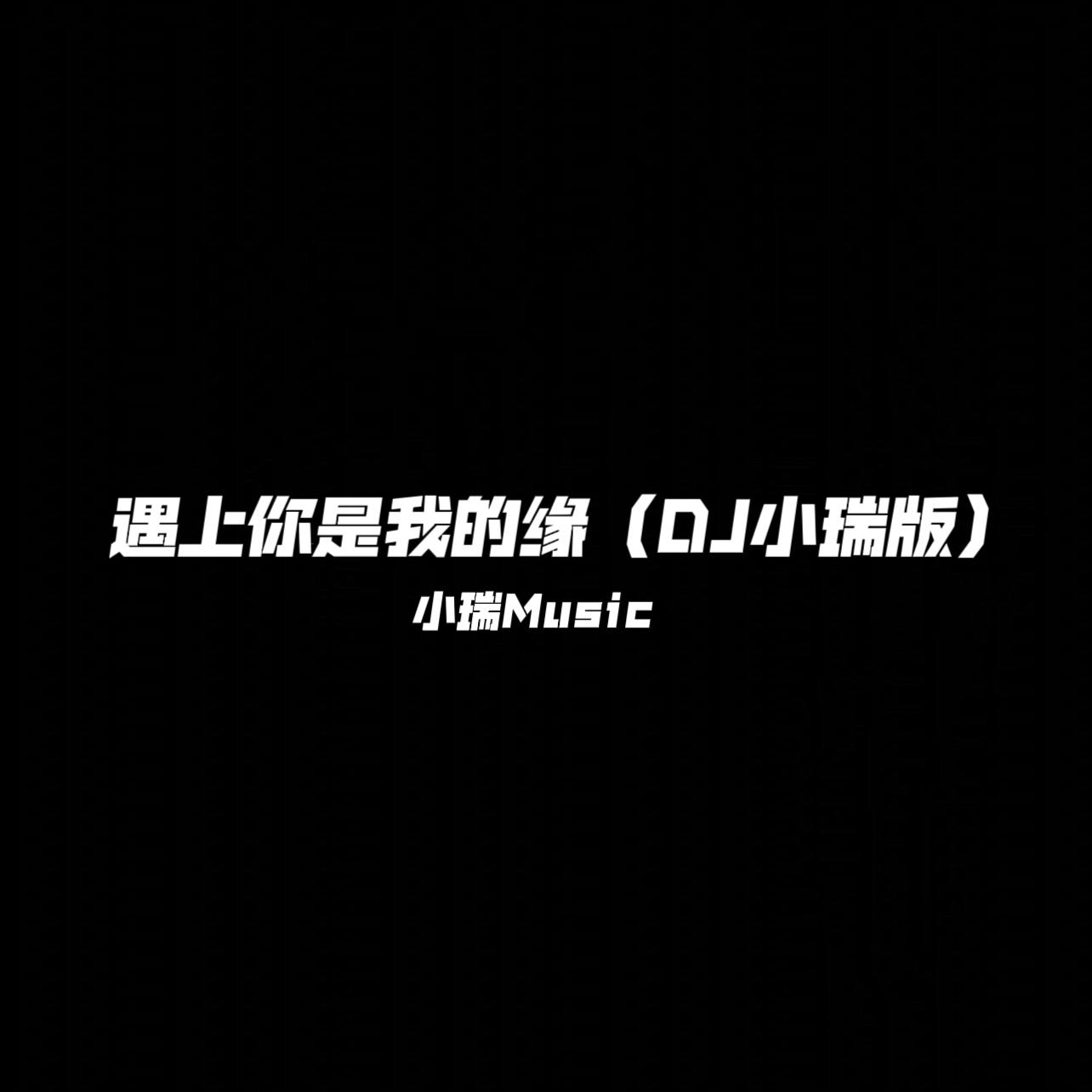 遇上你是我的缘（DJ小瑞版）