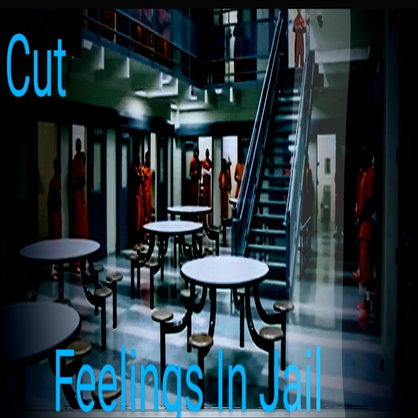 Feelings in Jail