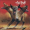 Wild Dogs专辑