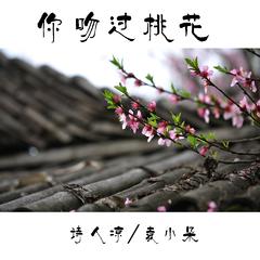 你吻过桃花 (伴奏)