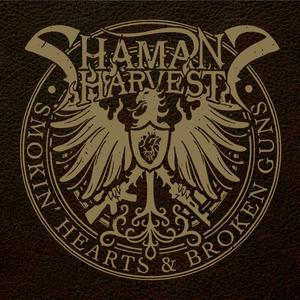Shaman's Harvest - Dirty Diana (Karaoke Version) 带和声伴奏 （升4半音）
