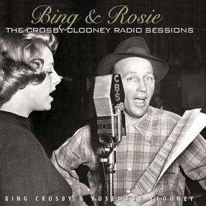 True Love - Bing Crosby (PT karaoke) 带和声伴奏 （降4半音）
