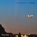 A Low Altitude Flow/ DieDieDieDie专辑