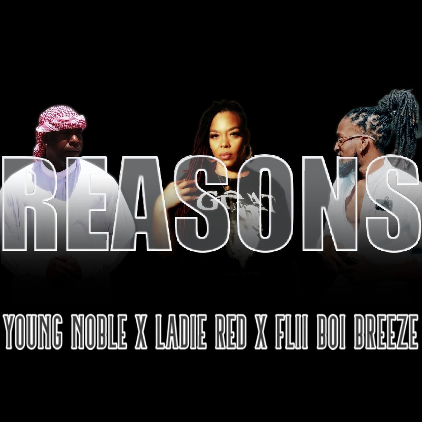 Reasons (Remix) [feat. Young Noble & Flii Boi Breeze]