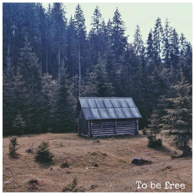 To Be Free