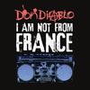 I Am Not from France (Extended Mix)