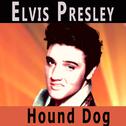 Hound Dog