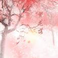 繁花落