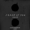 Shape Of U (Ed Sheeran Cover)