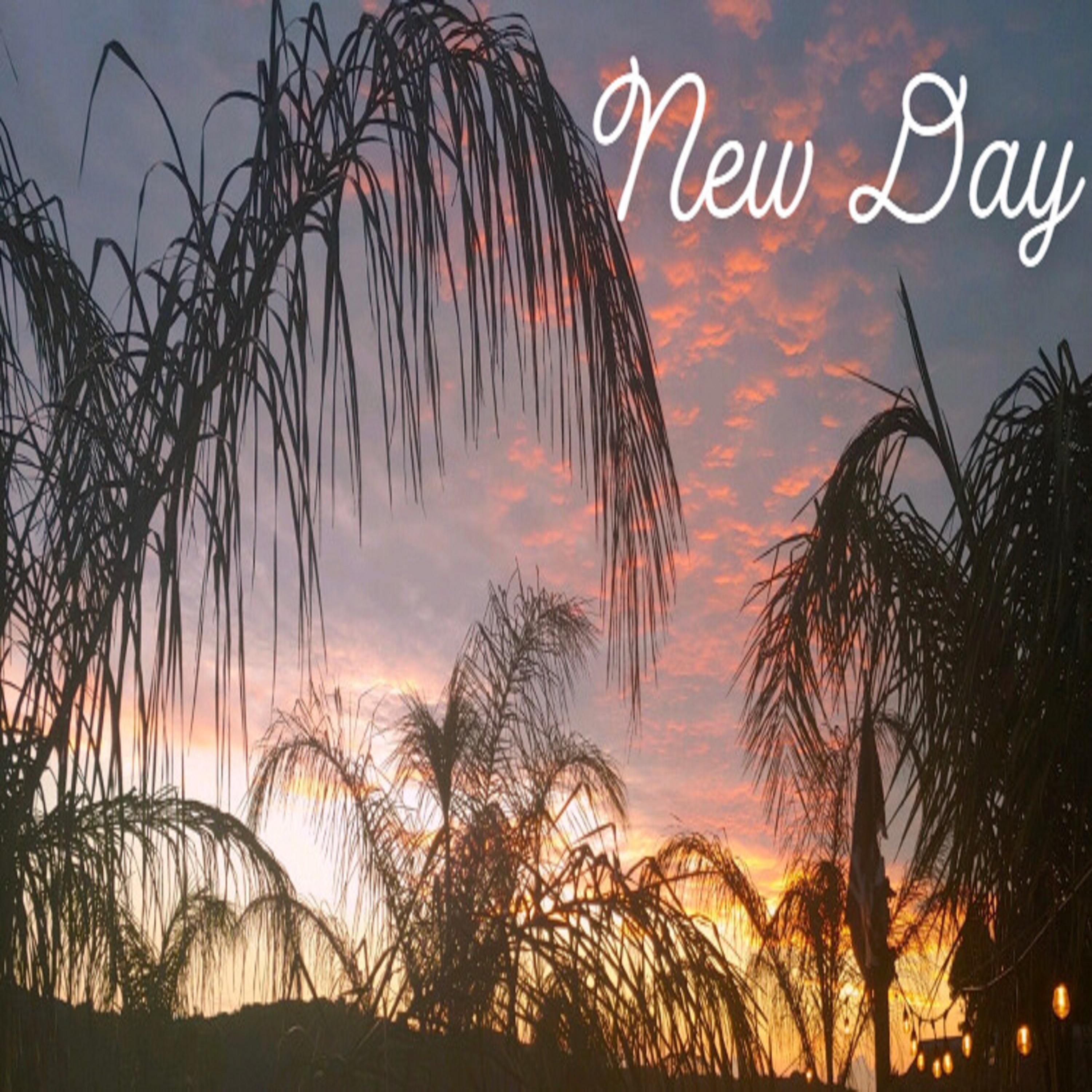 New Day