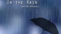 In the Rain专辑