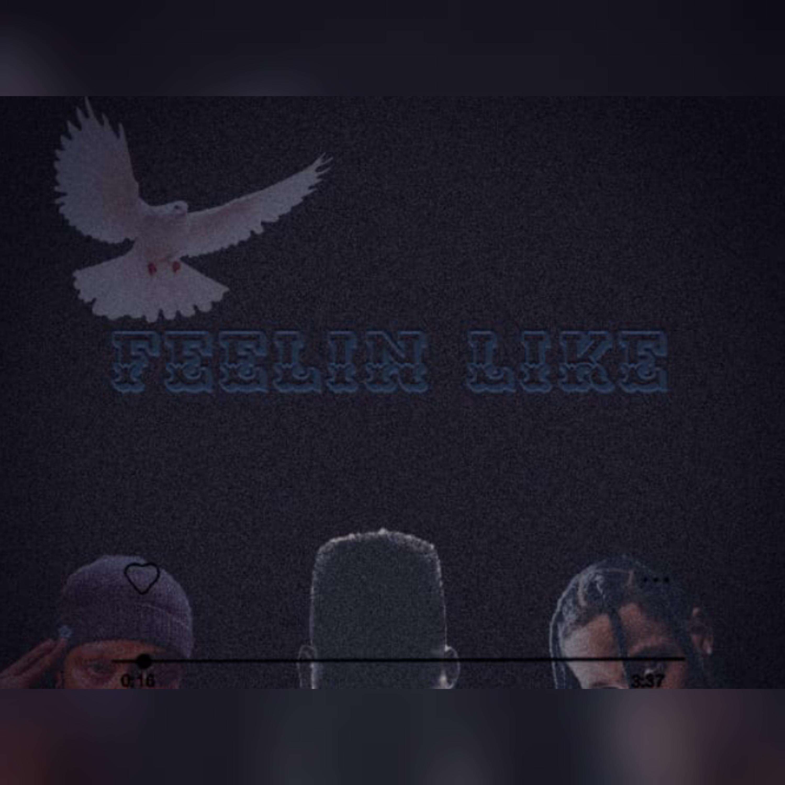 Feelin Like (feat. CONTENT & Jahquiin)