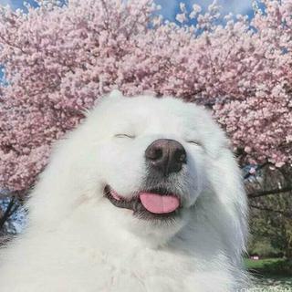 温柔的欧美节奏R&B