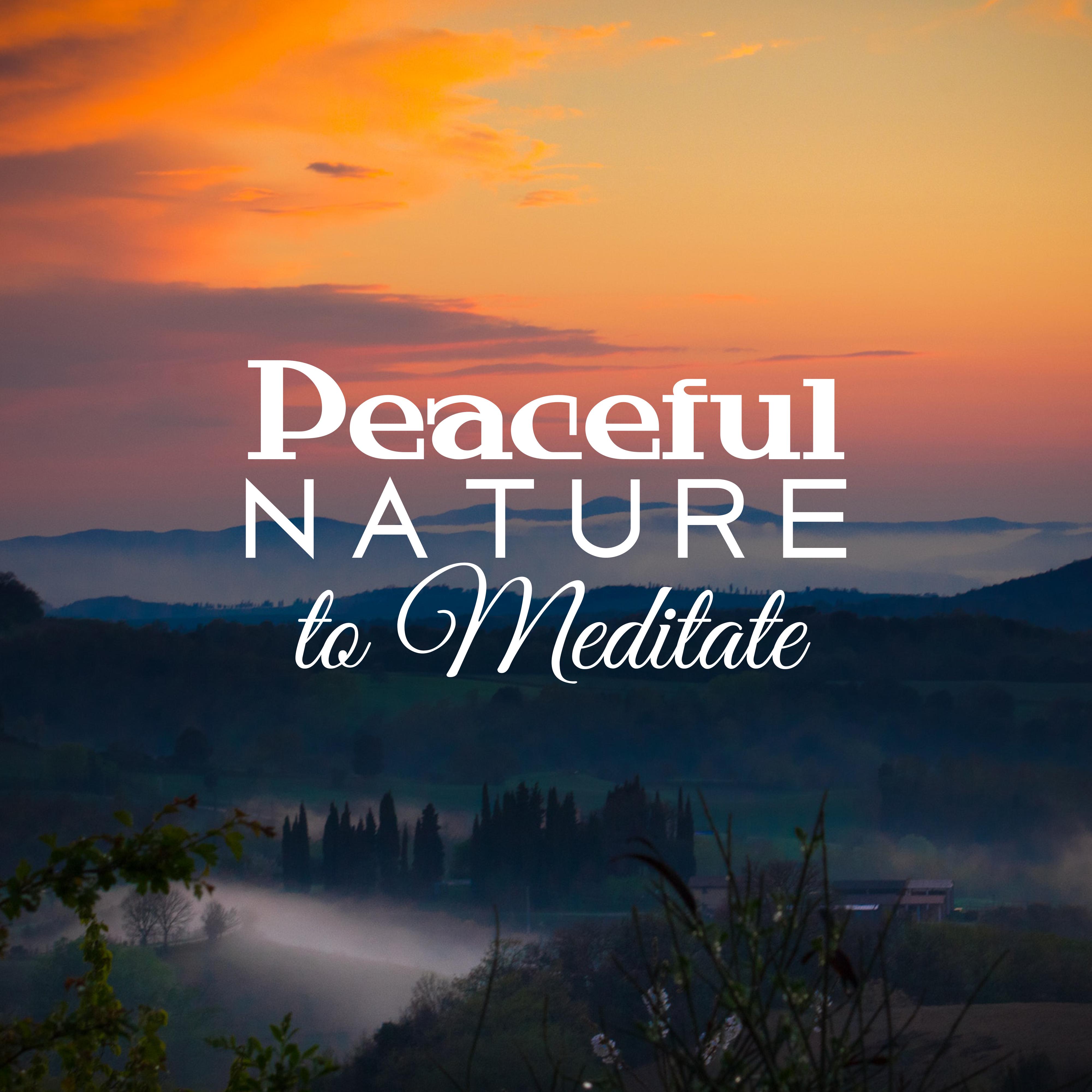 Peaceful Nature to Meditate – Healing Therapy, Meditation Sounds to Calm Down, Nature Relaxation, Ti专辑