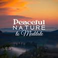 Peaceful Nature to Meditate – Healing Therapy, Meditation Sounds to Calm Down, Nature Relaxation, Ti