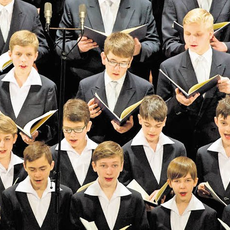 Dresdner Kreuzchor