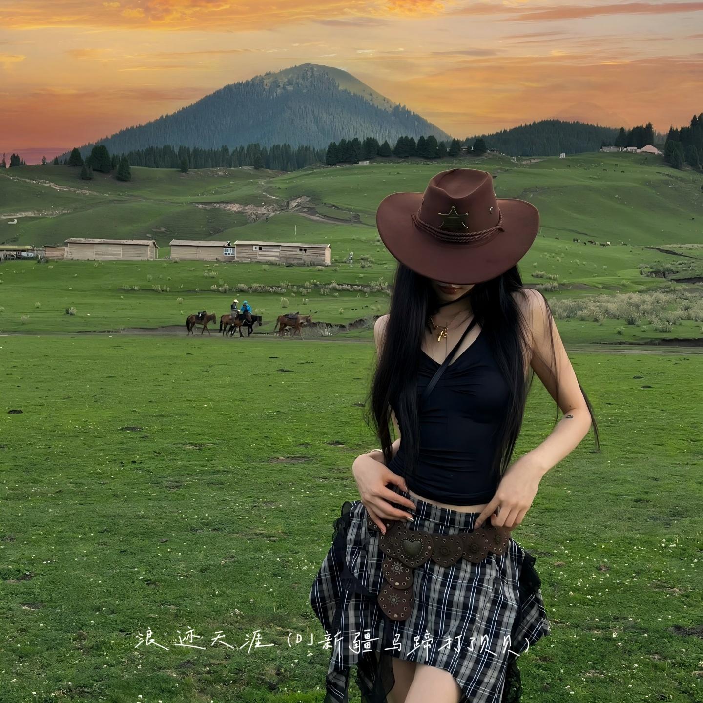 浪迹天涯 (Dj新疆马蹄打了贝贝)