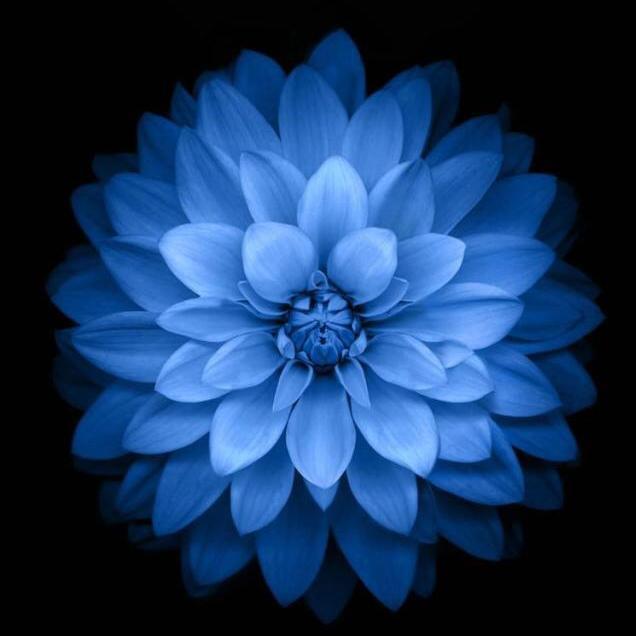 Muhabbat u nima 如何爱