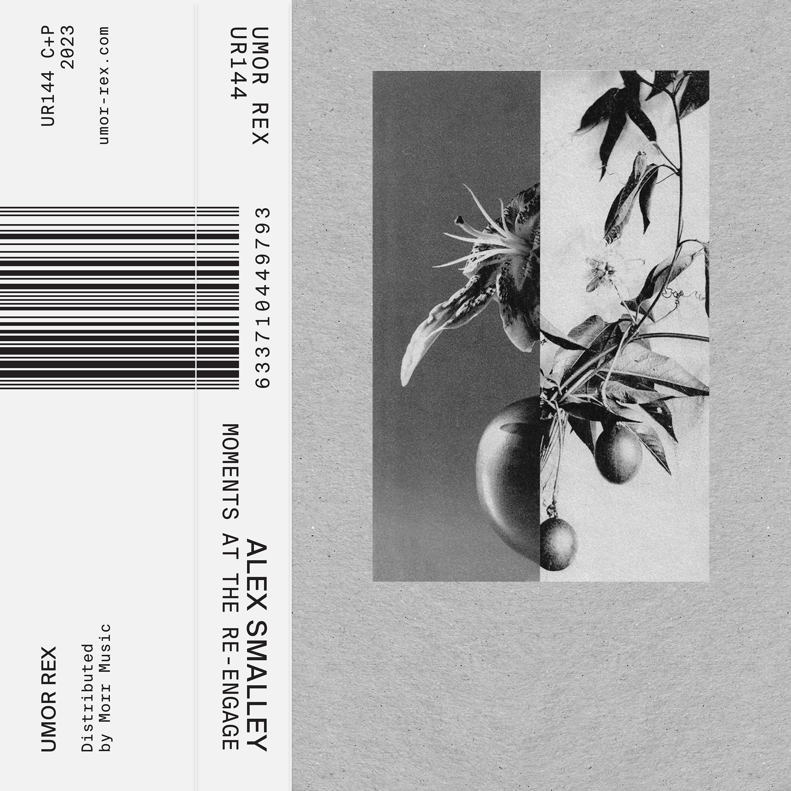 Hypnotic Space/Air Stream/Fire Circles