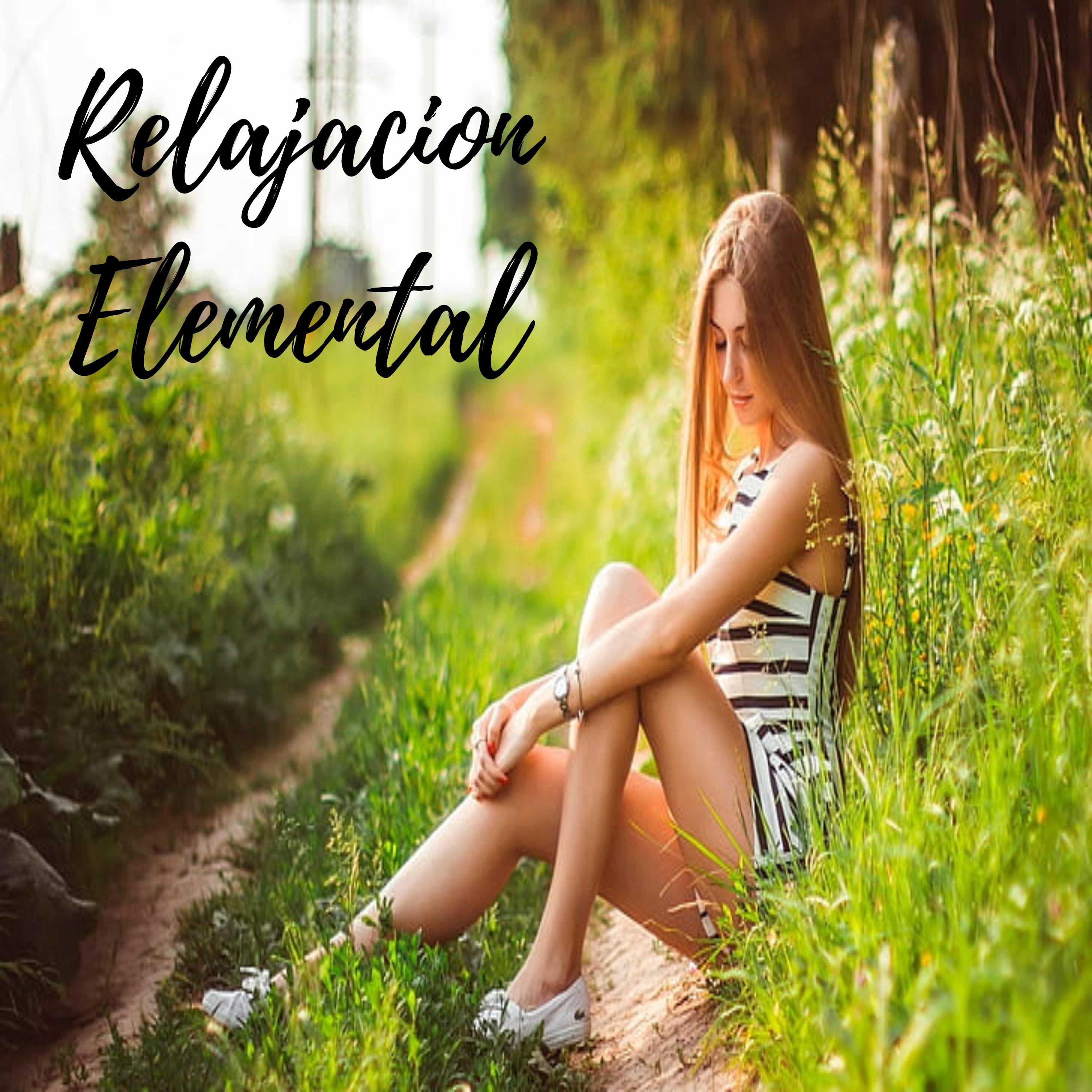 Relajacion Elemental