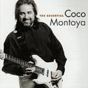 The Essential Coco Montoya专辑