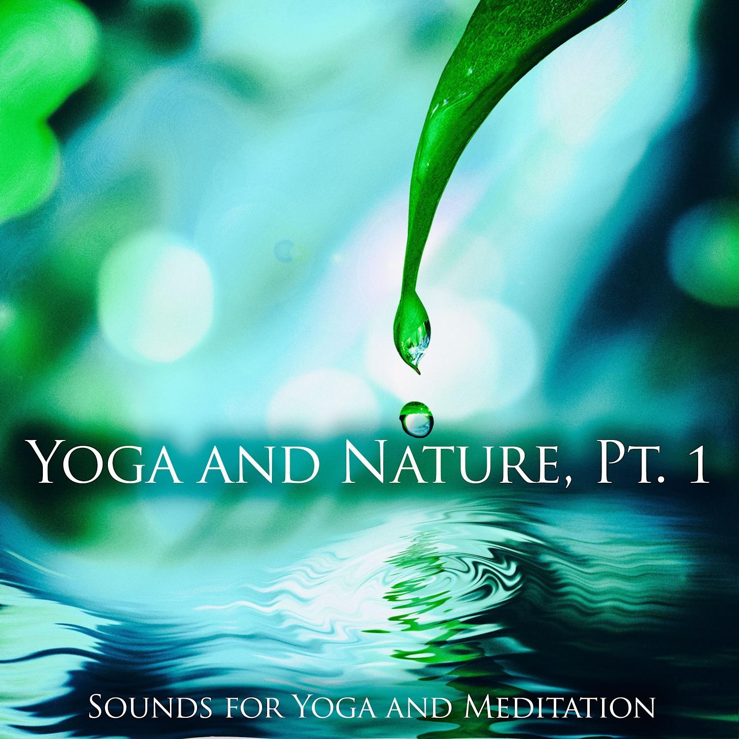 Yoga and Nature, Pt. 1