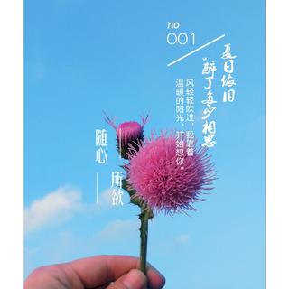 经典粤语情歌