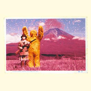 一个花的高产物