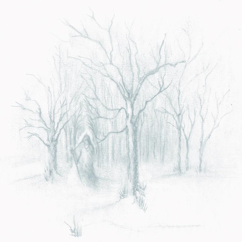 The Grey Kingdom