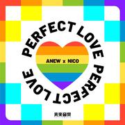 Perfect Love(Bootleg)