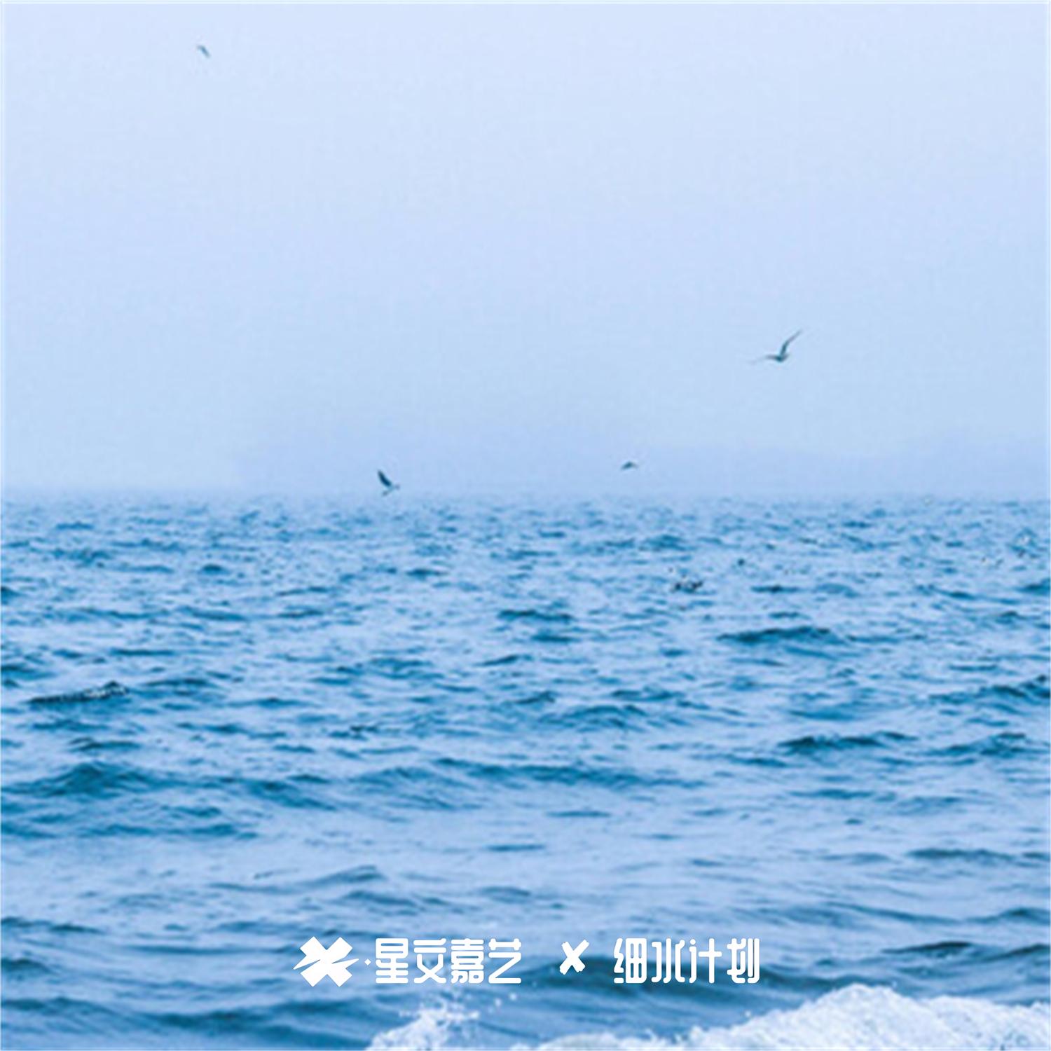 岁岁空欢喜