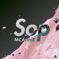 Sop（湿了）