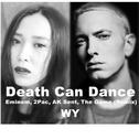 Death Can Dance (Remix)