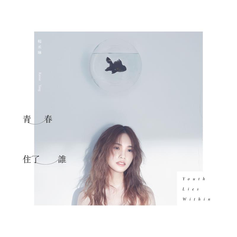 青春住了谁封面